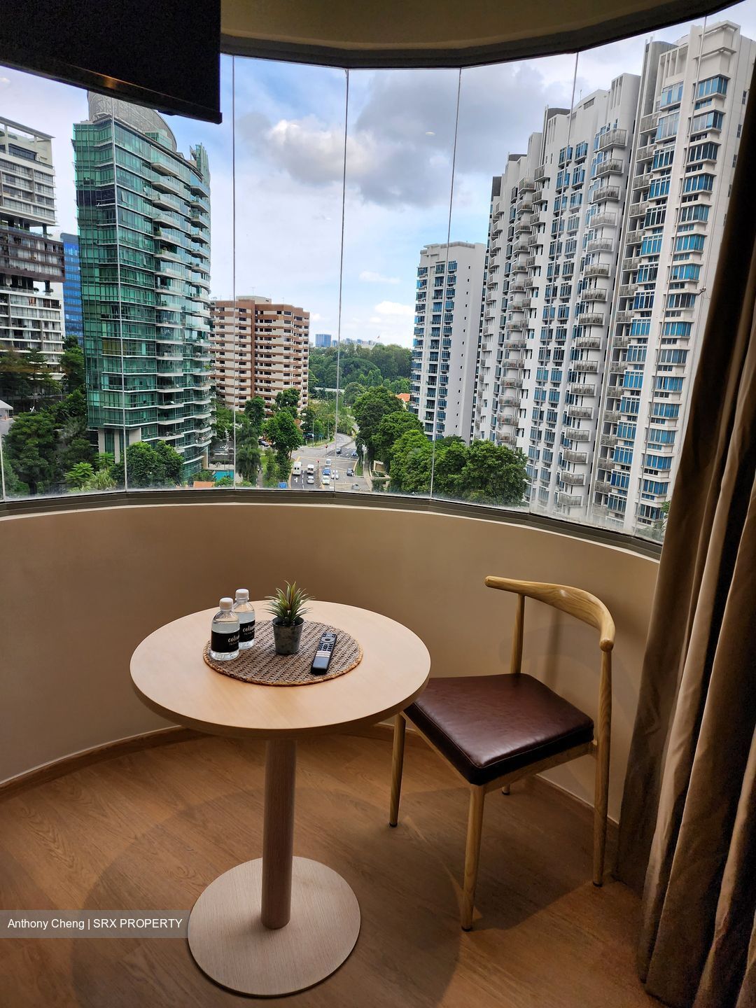 Mount Elizabeth Link (D9), Apartment #399188621